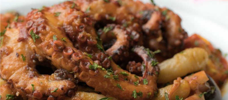 Octopus in Tomato Sauce with Pasta - dish image